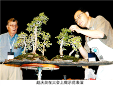 加拿大中华艺术协会中国分会于京成立
