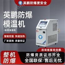 英鹏防爆模温机-标准油温机